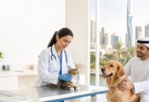 Dubai Veterinary Services Hit 183,700 In H1 Dubai veterinary clinic with veterinarian caring for cat and dog during municipal pet services