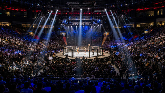 Packed Abu Dhabi combat sports arena during a fight night